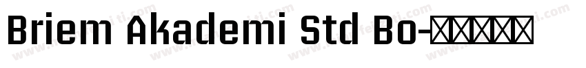 Briem Akademi Std Bo字体转换
